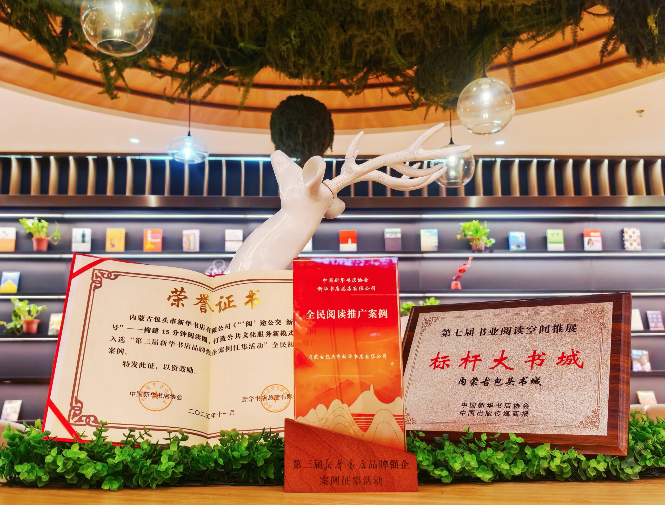 以创新驱动阅读推广 包头市子公司斩获多项荣誉